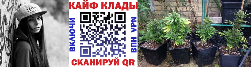 Наркошоп купить NBOMe  Alpha-PVP  Бошки Шишки  АМФ  Мефедрон  COCAIN  Томилино
