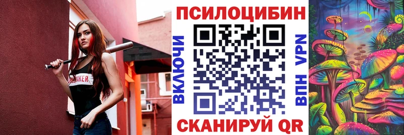 Купить где  Томилино  Псилоцибиновые грибы GOLDEN TEACHER 